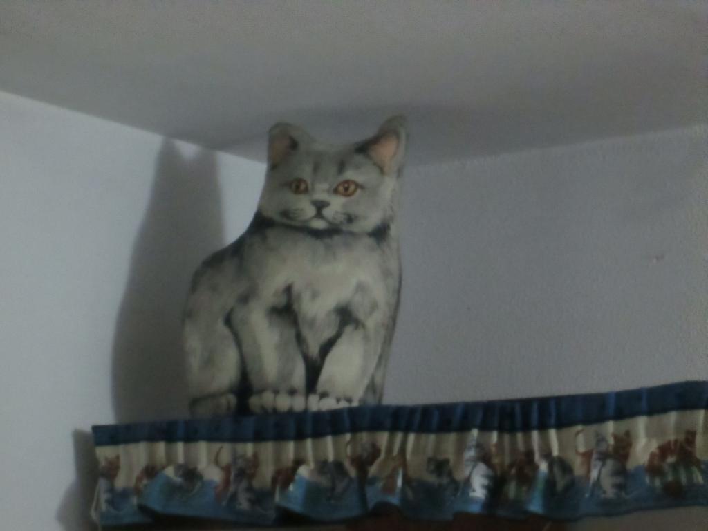 Appartement Cat'S House à Ostie Chambre photo